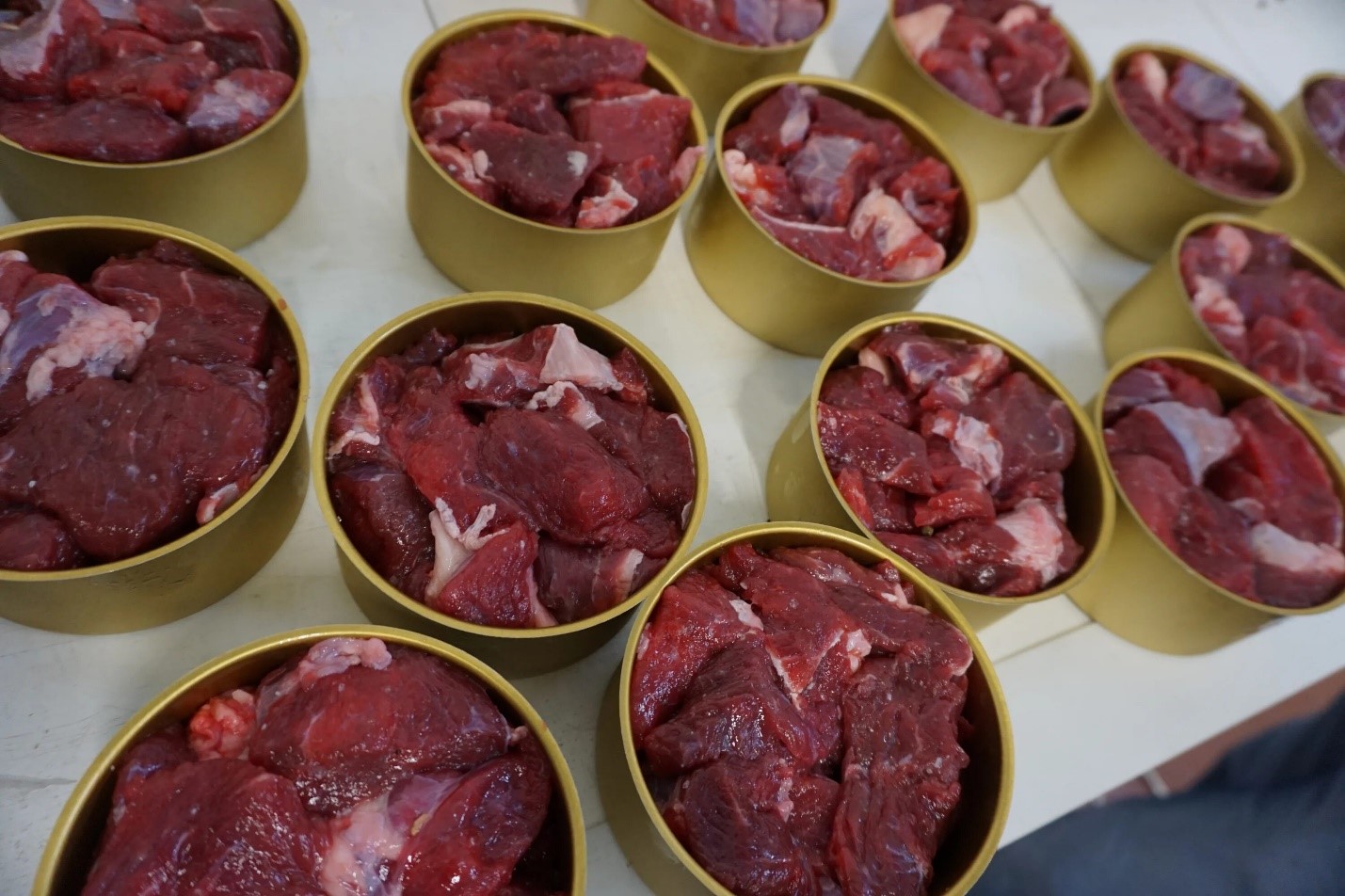 Как делают мясные консервы: технология производства и особенности домашнего приготовления