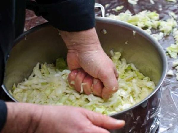 Как проверить свежесть квашеной капусты при покупке? Как проверить свежесть квашеной капусты при покупке?